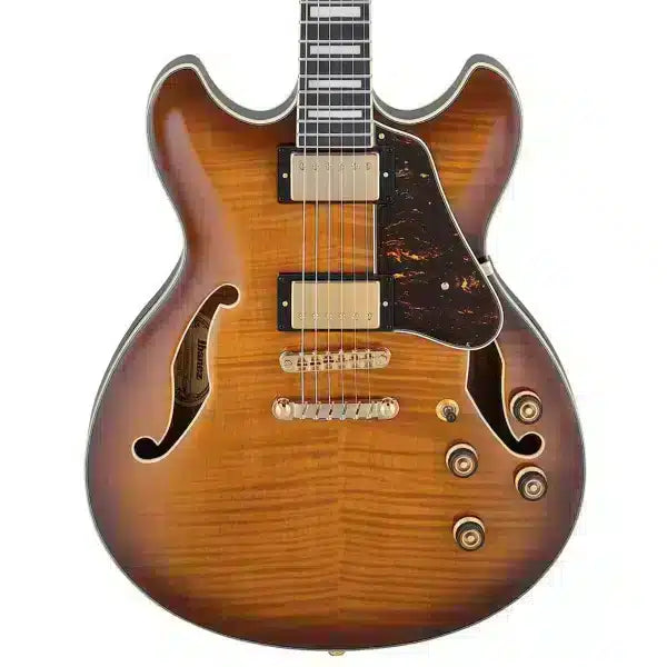 Ibanez 40 Semi-acoustic Guitar