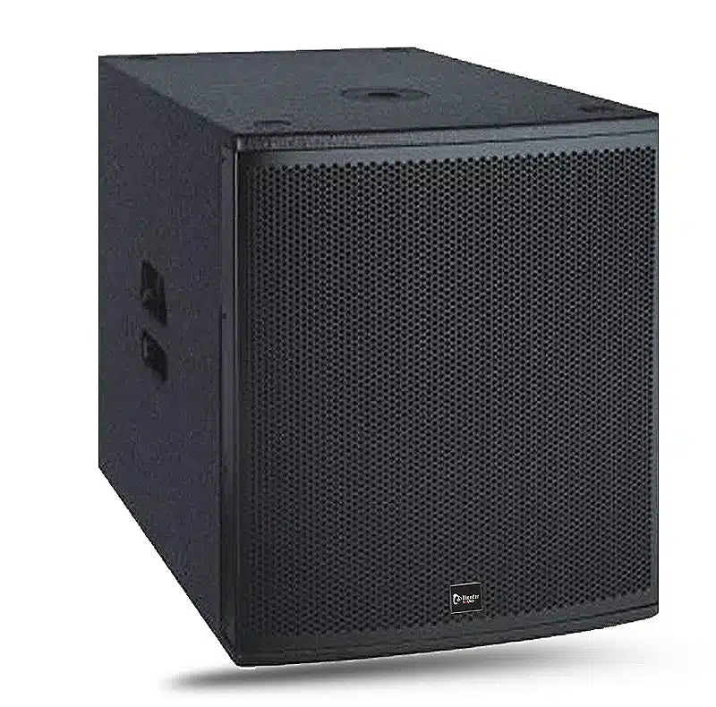 Thunder Sound TH118P Subwoofer