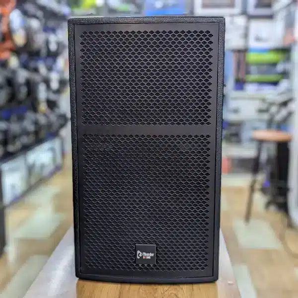 Thunder Sound TS 112 Speaker