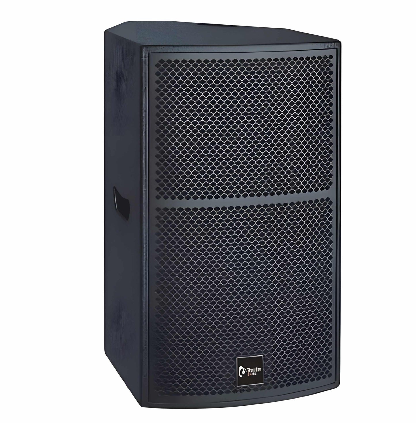 Thunder Sound TS1 12 Two-way full-range loudspeaker system