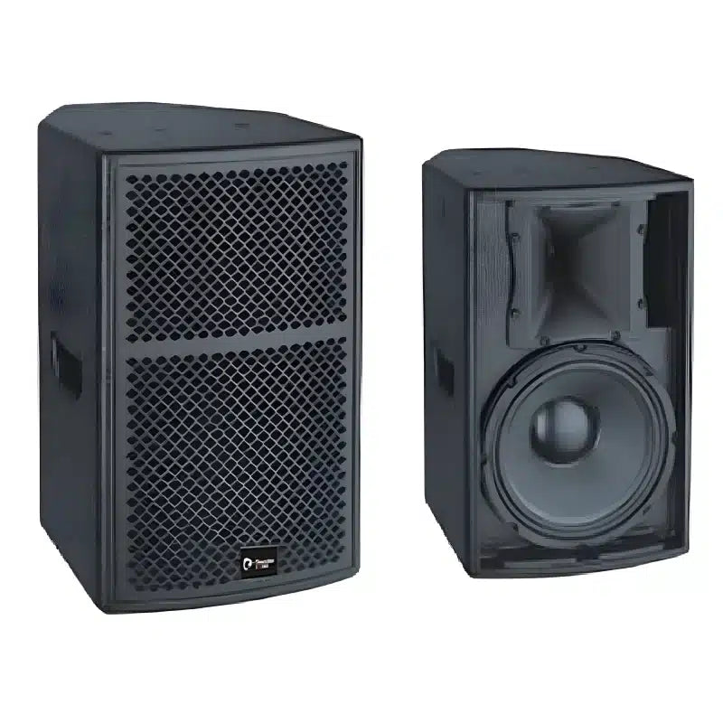 Thunder Sound TS110 2-way full-range loudspeaker system