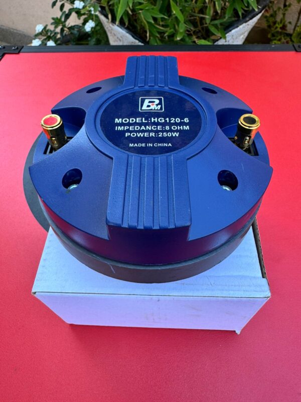 BM HG 120-6 Naked Speaker