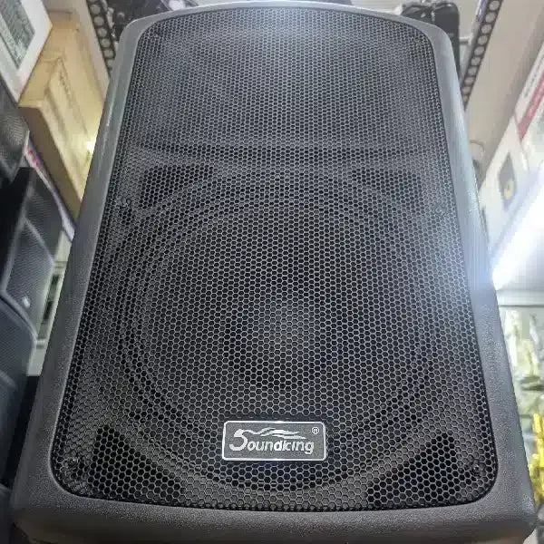Soundking FP215A Active Speaker