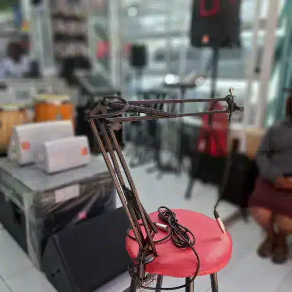 Soundking DD07 Studio Arm Stands