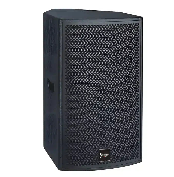 Thunder Sound TH110 Passive Speaker