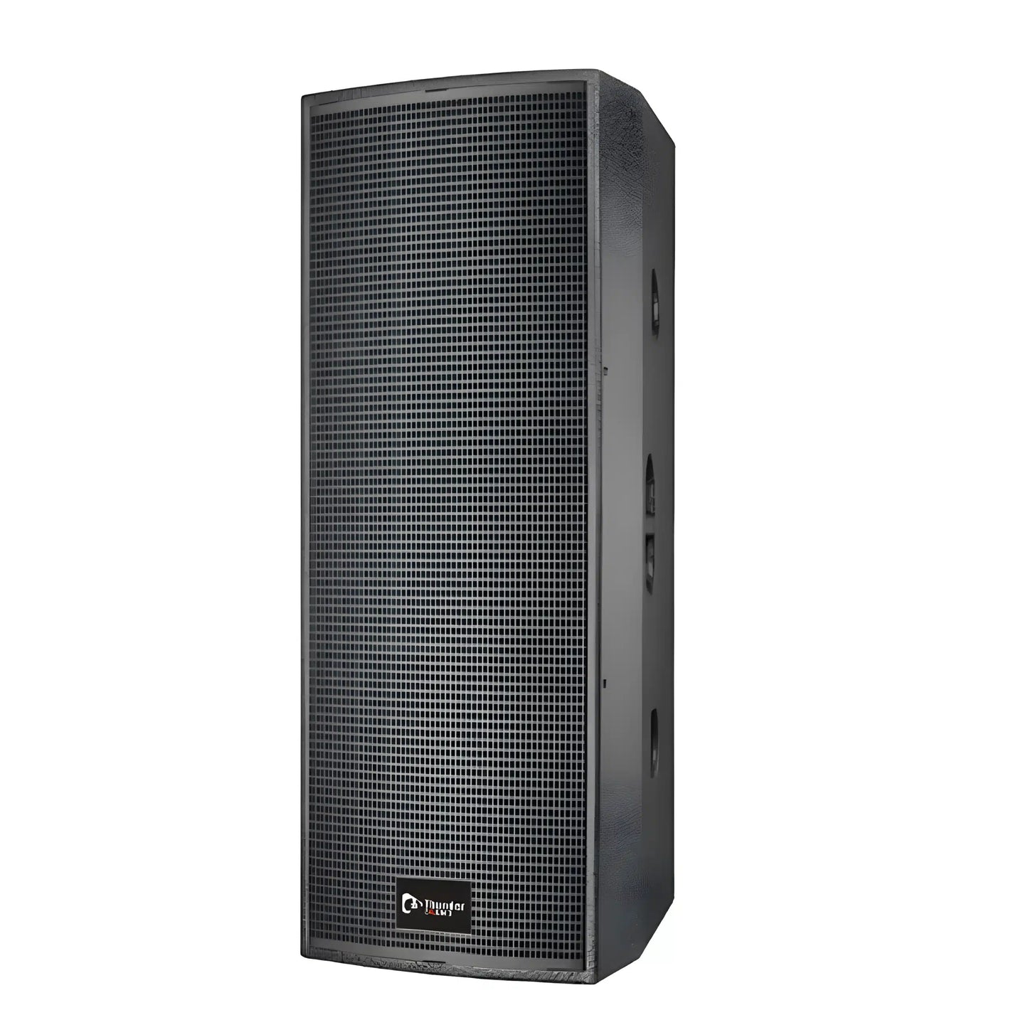 Thunder Sound TH215 Passive Speaker
