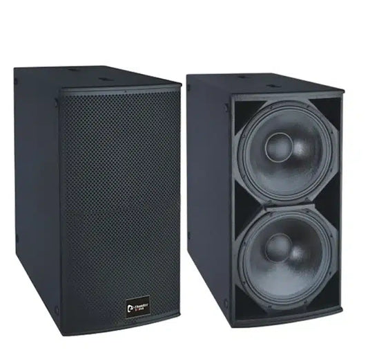 Thunder Sound TH228 Passive Speaker