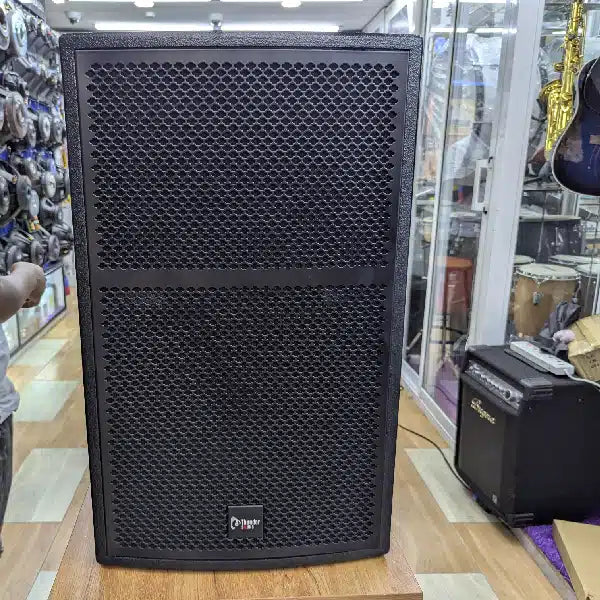 Thunder Sound TS115 Passive Speaker