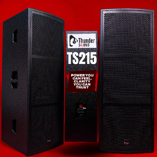 Thunder Sound TS 215 Speaker