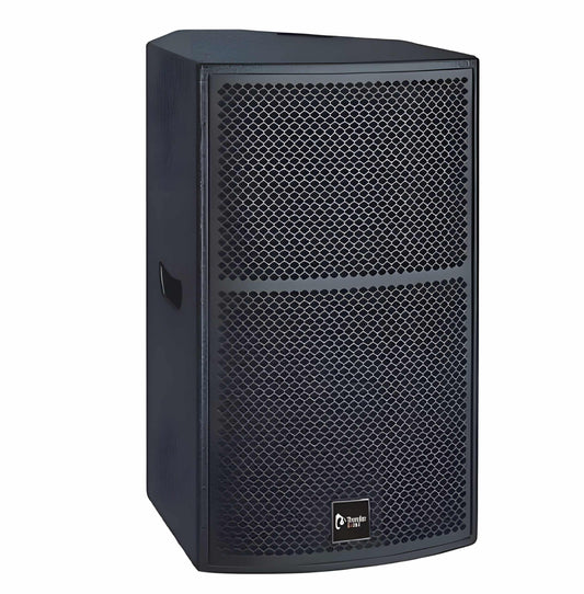 Thunder Sound TS1 12 Two-way full-range loudspeaker system