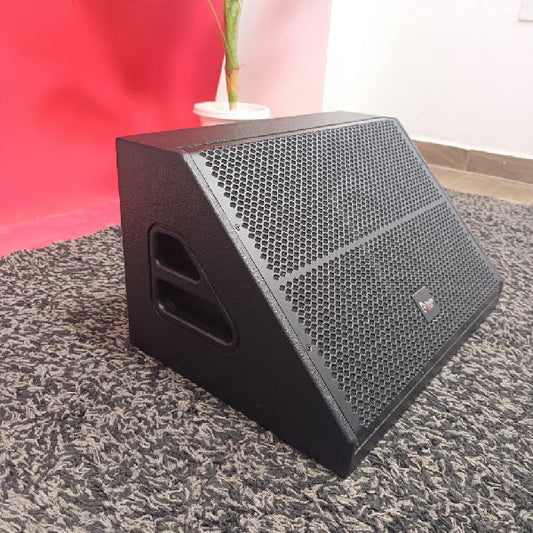 Thunder Sound TS112M Special Edition 12” Passive Stage Monitor