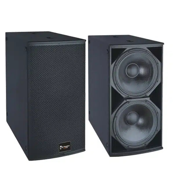 Thunder Sound TS228 18-inch Subwoofer