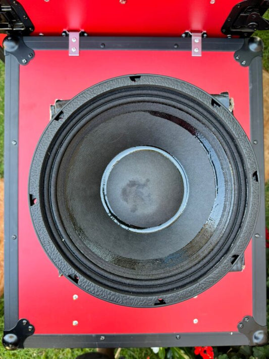 NR 12WF335 Naked Speaker