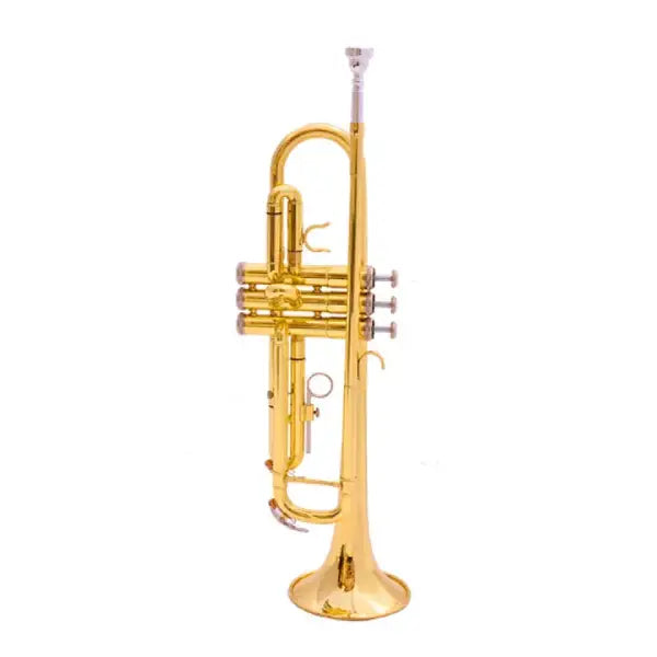 Premier Professional Trumpet Silver Gold